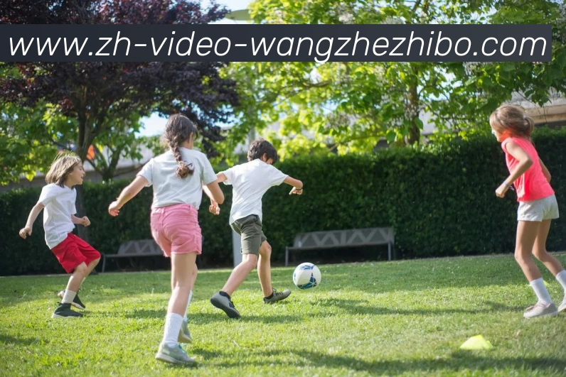 王者体育APP 封面图