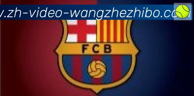 王者体育合作伙伴